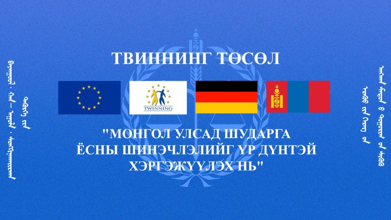 “ТВИННИНГ” ТӨСЛИЙН ЗӨВЛӨХҮҮДТЭЙ УУЛЗАЛТ ХИЙВ
